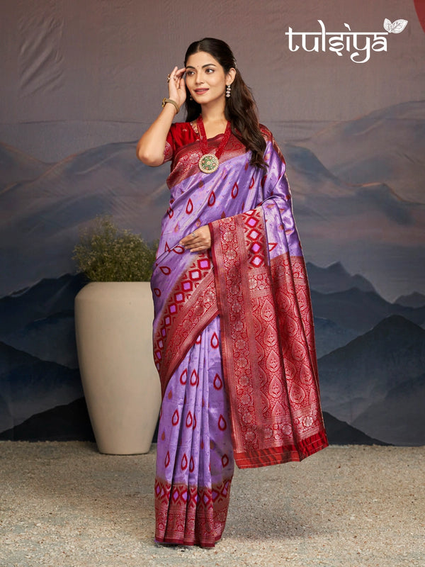 Enchanting Kanjivaram Silk Saree
