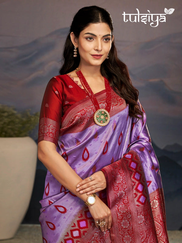 Enchanting Kanjivaram Silk Saree