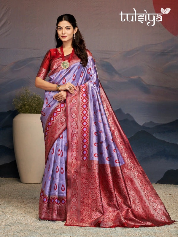 Enchanting Kanjivaram Silk Saree