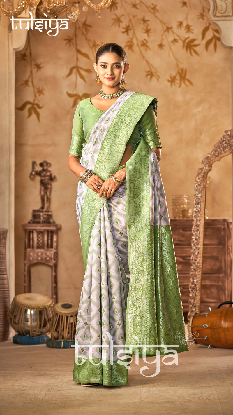 Heirloom Banarasi Silk Dream